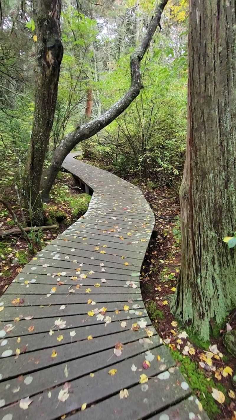 Wildlife and Nature Watching Opportunities