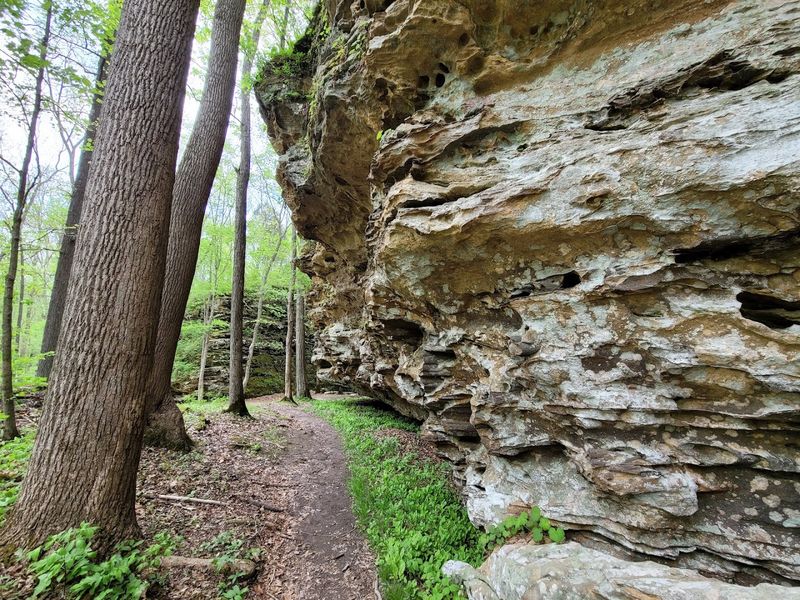 Panther Den Wilderness - Panther Den Loop