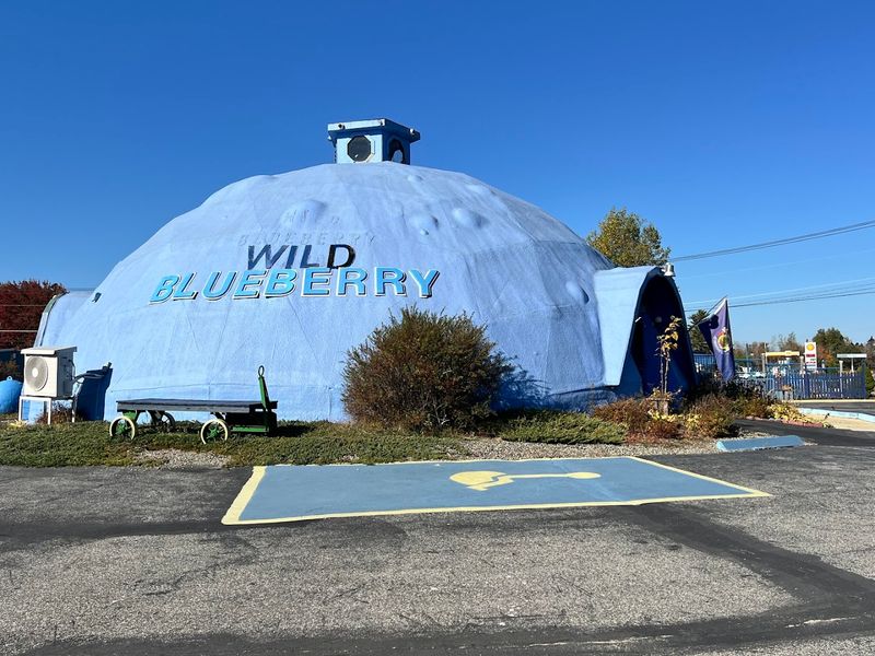 Wild Blueberry Land &mdash; Columbia Falls, ME