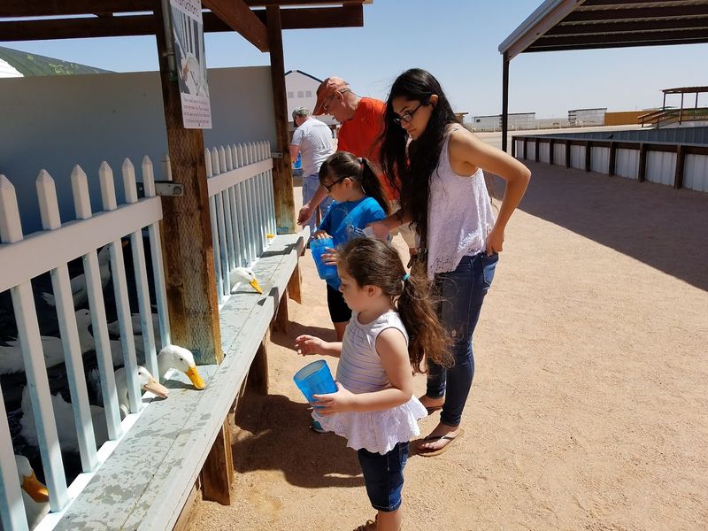 The Ranch Layout and 14 Feeding Stations