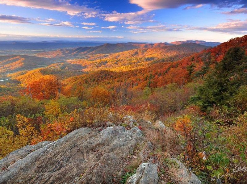 Shenandoah National Park Skyline Spring, Virginia