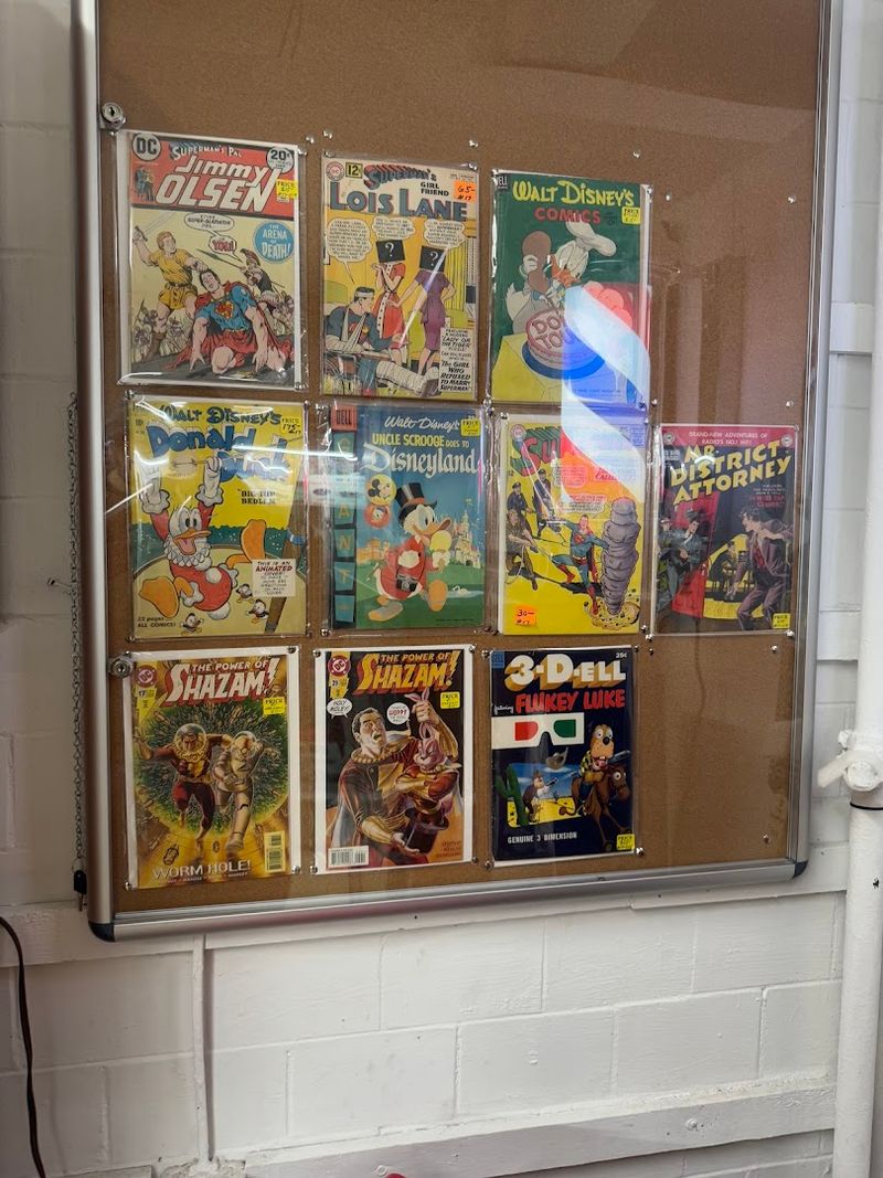 Pop Culture Collectibles and Retro Finds