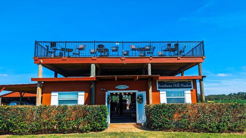 Practical Tips for Planning Your Visit to Southern Hill Farms