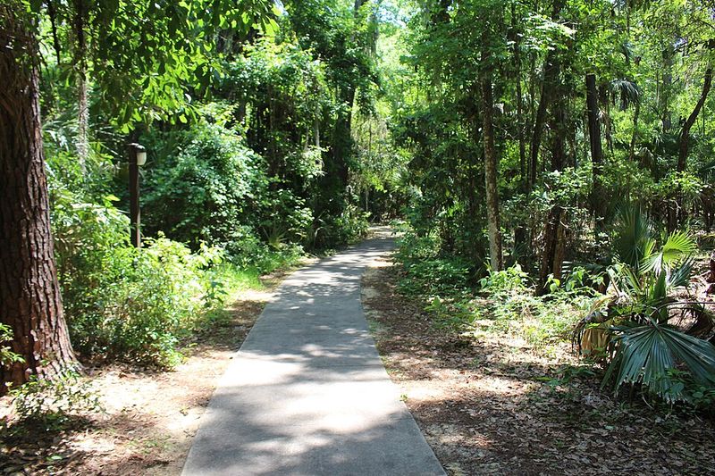 Paynes Prairie Preserve State Park