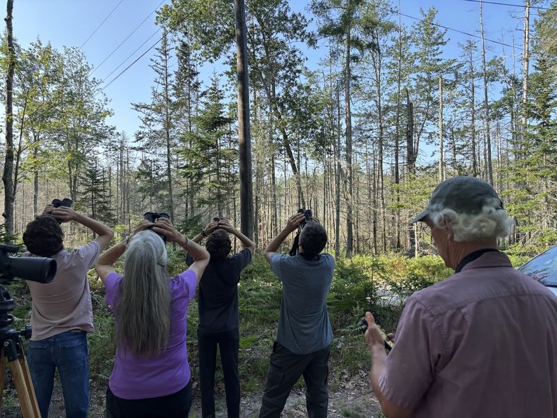 Mount Desert Island, Maine