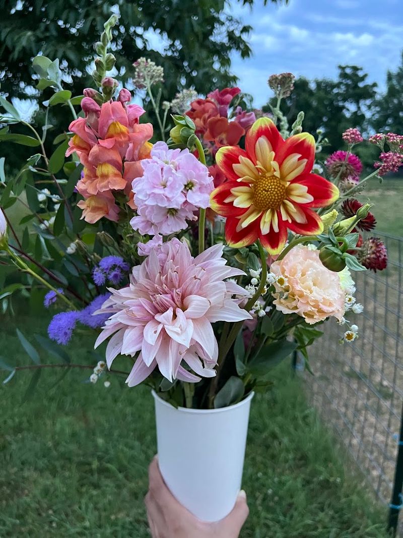 Seasonal Highlights You Will Love