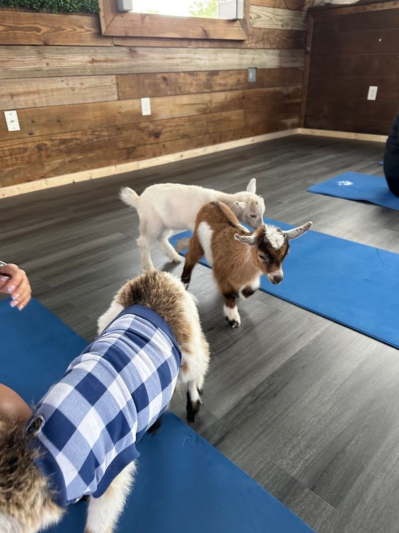 Birthday Parties And Private Events