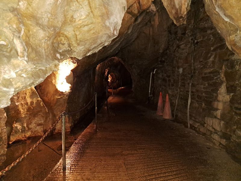 The Total Darkness Experience That Changes Your Perspective