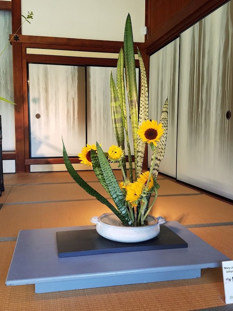 Ikebana and Cultural Events That Bring the Garden to Life
