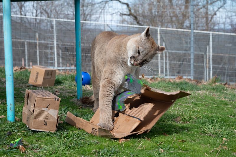 Specialty Experiences Worth Seeking Out