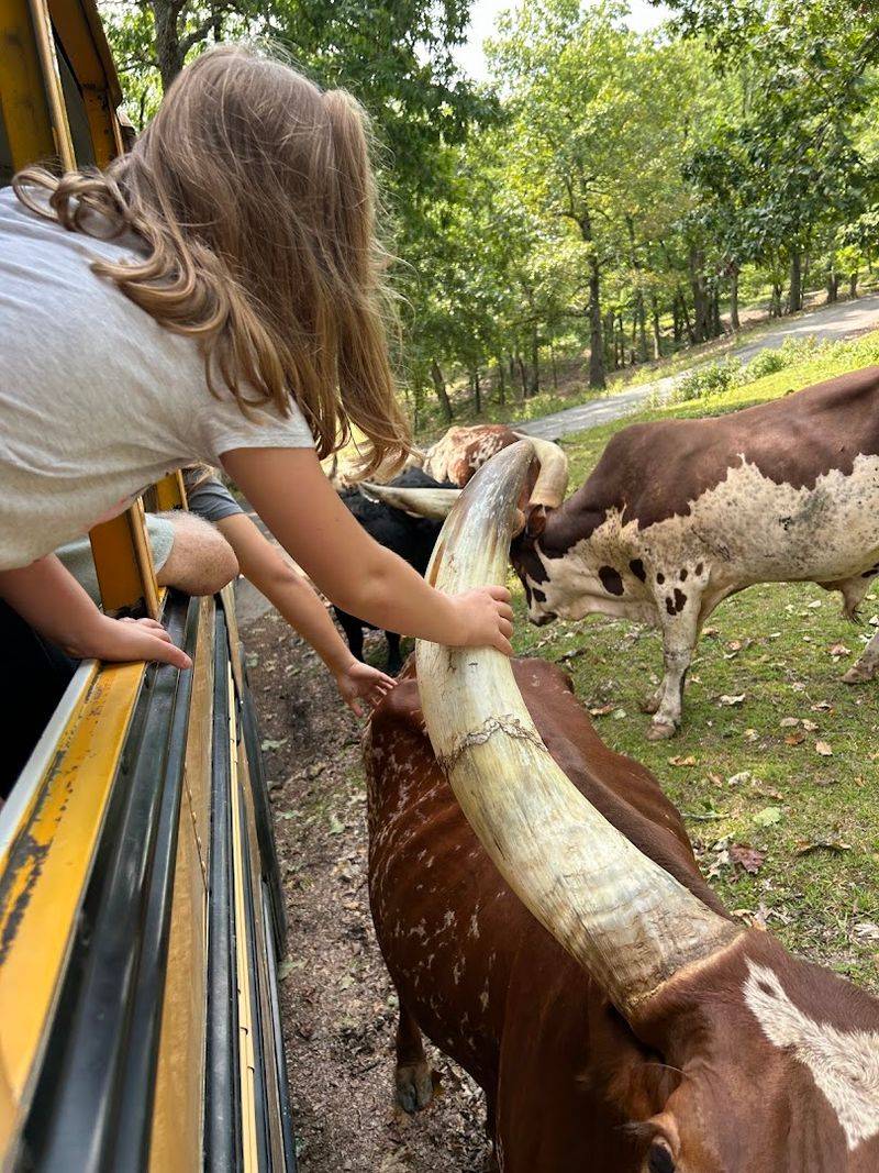 Smart Feed Strategy So You Do Not Run Out Early