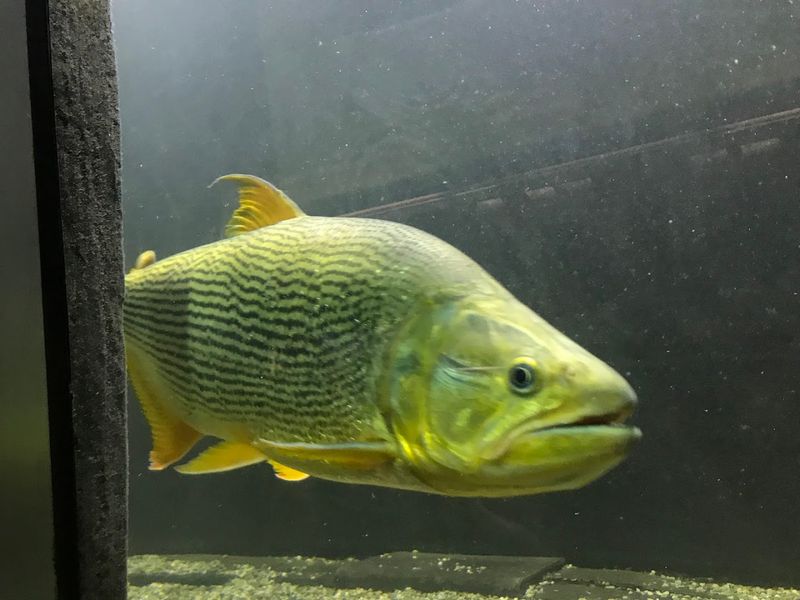 Photo Tips Under Emerald Light