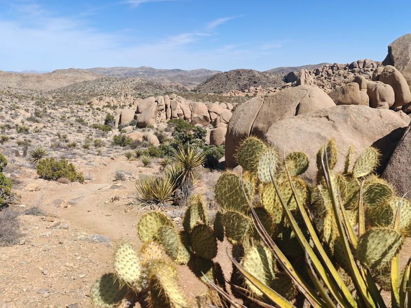 Joshua Tree National Park, California