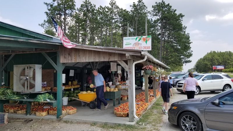 Fresh Seasonal Produce at the Farm Stand