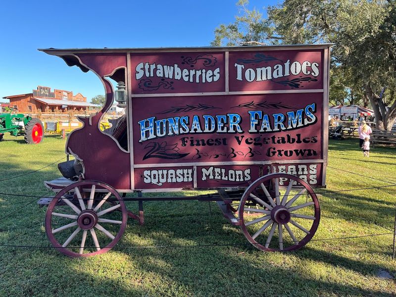 Smart Budgeting and Cash Tips