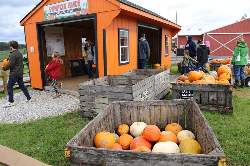 Market, Bakery, and Maple Lawn Winery