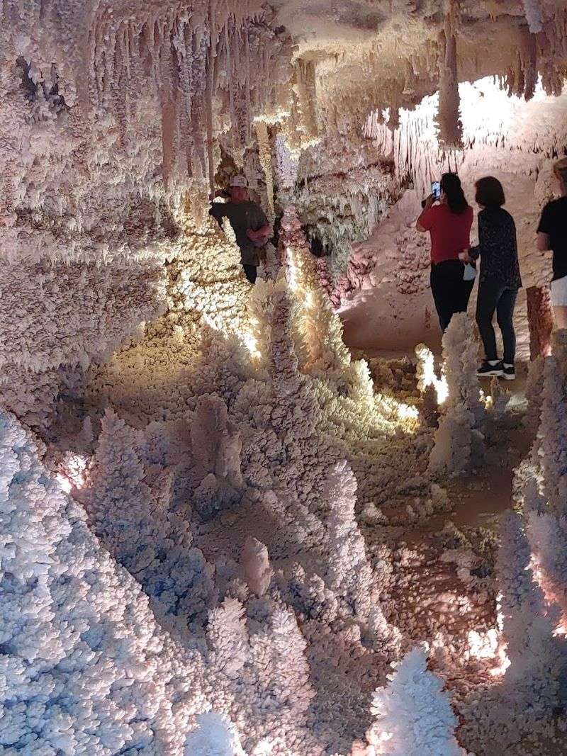 The Butterfly Calcite Crystal: A One-of-a-Kind Wonder