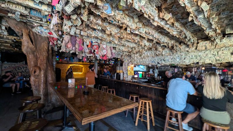 The Hanging Tree Inside the Bar