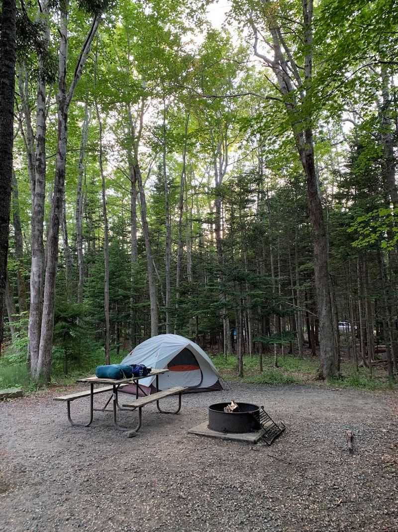 Blackwoods Campground &mdash; Acadia National Park, Maine