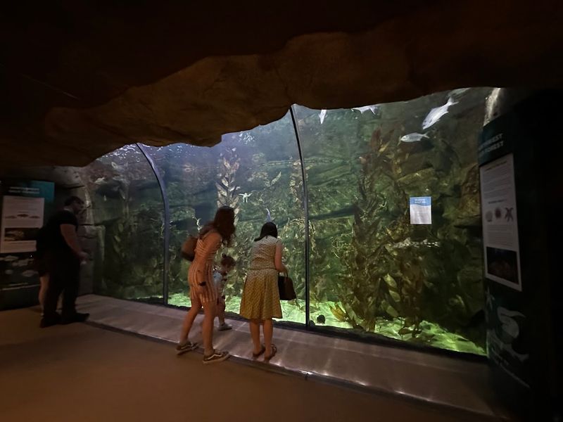 John Ball Zoo Aquarium Building, Grand Rapids