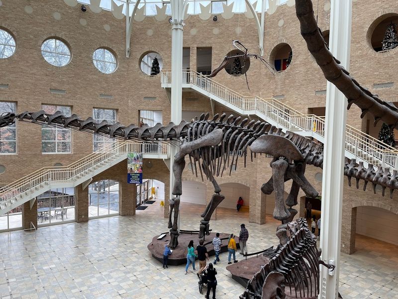 Fernbank Museum of Natural History, Atlanta