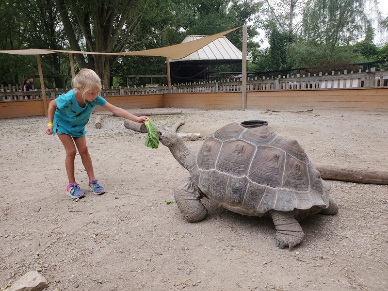 The Walk-Through Zoo Section