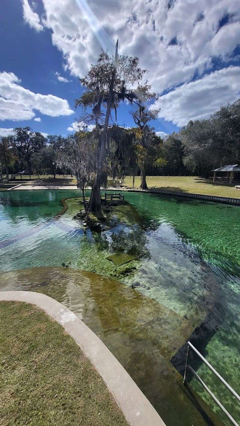 Camping in the Heart of North Florida Nature