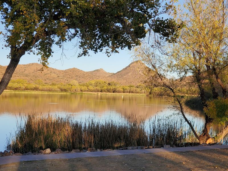 Camping and RV Stays That Actually Feel Relaxing