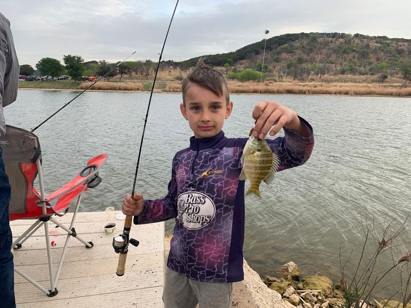 Fishing From the Dock, Shore, and Open Water