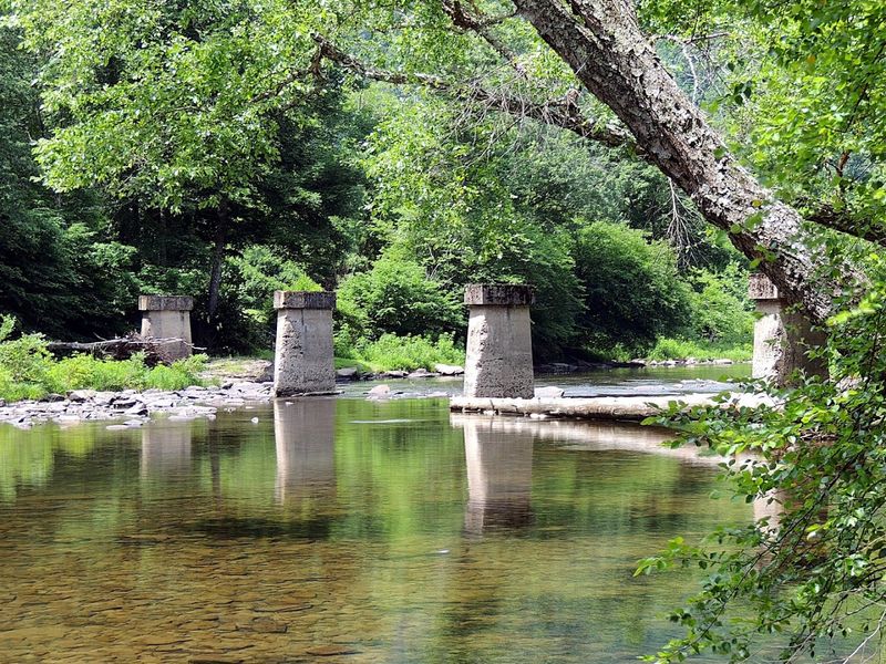 Bridge Highlights and River Views