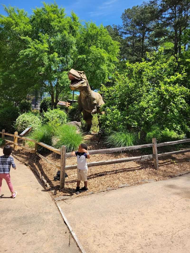 Dinosaur Explore Trail