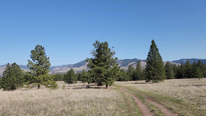 Exploring the Trails of Blue Mountain Recreation Area
