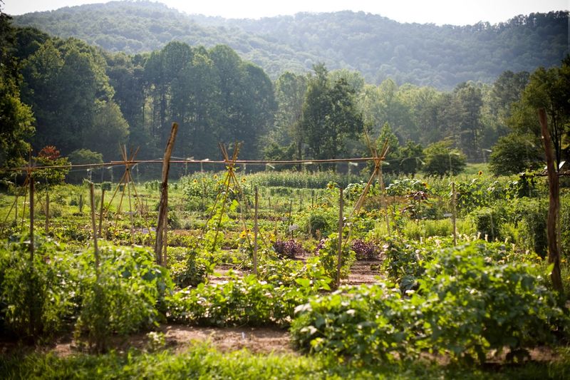 The Farmstead and Garden Tours