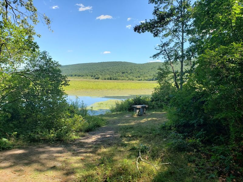 Outdoor Adventure at Bashakill Wildlife Management Area