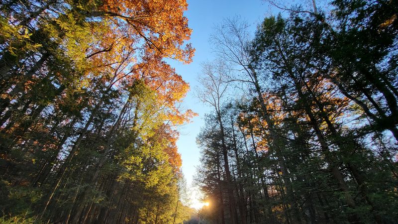 Playground And Family Green Space
