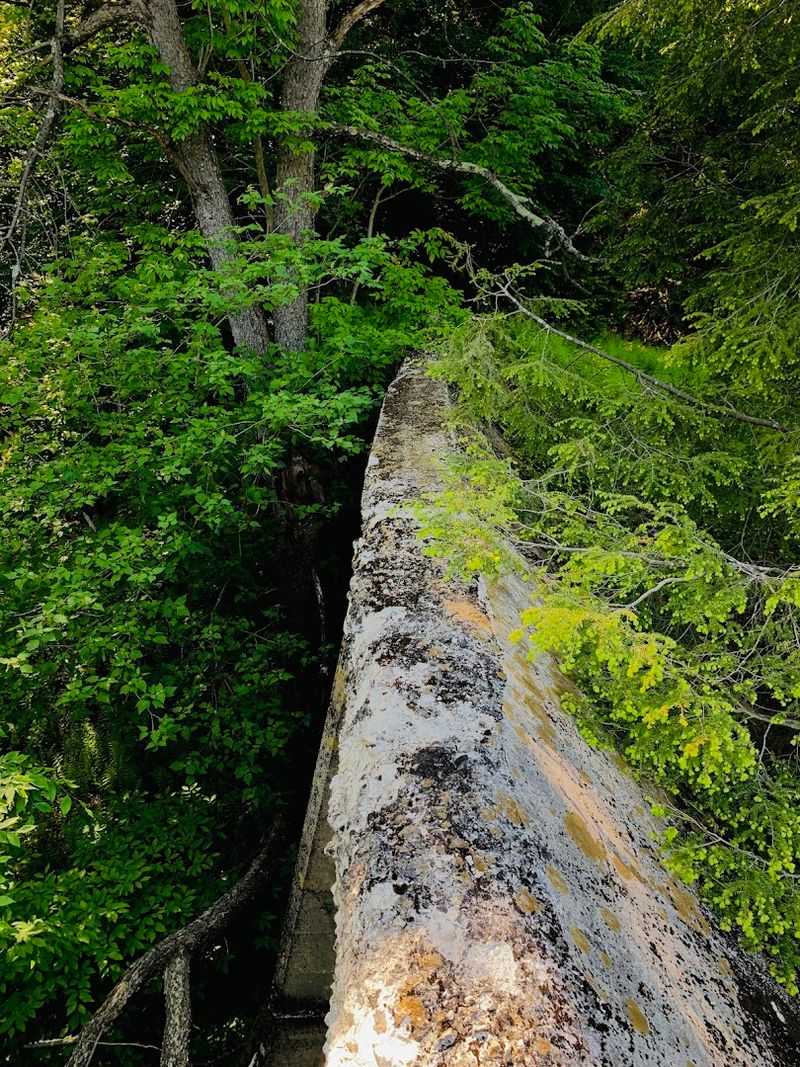 Practical Tips For Your Visit