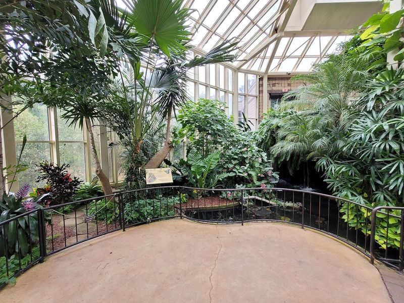 Architectural Marvel: The Tropical Glass Conservatory