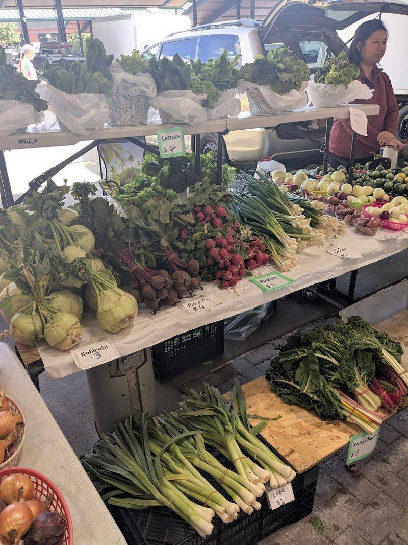 Winter Market and Holiday Finds