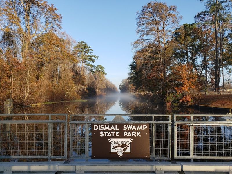 Dismal Swamp State Park