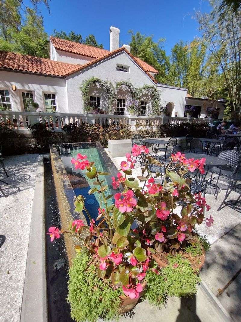 The Only Garden Dedicated to Epiphytes