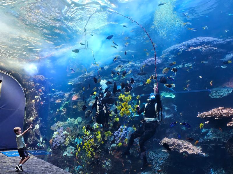 The Ocean Voyager Experience