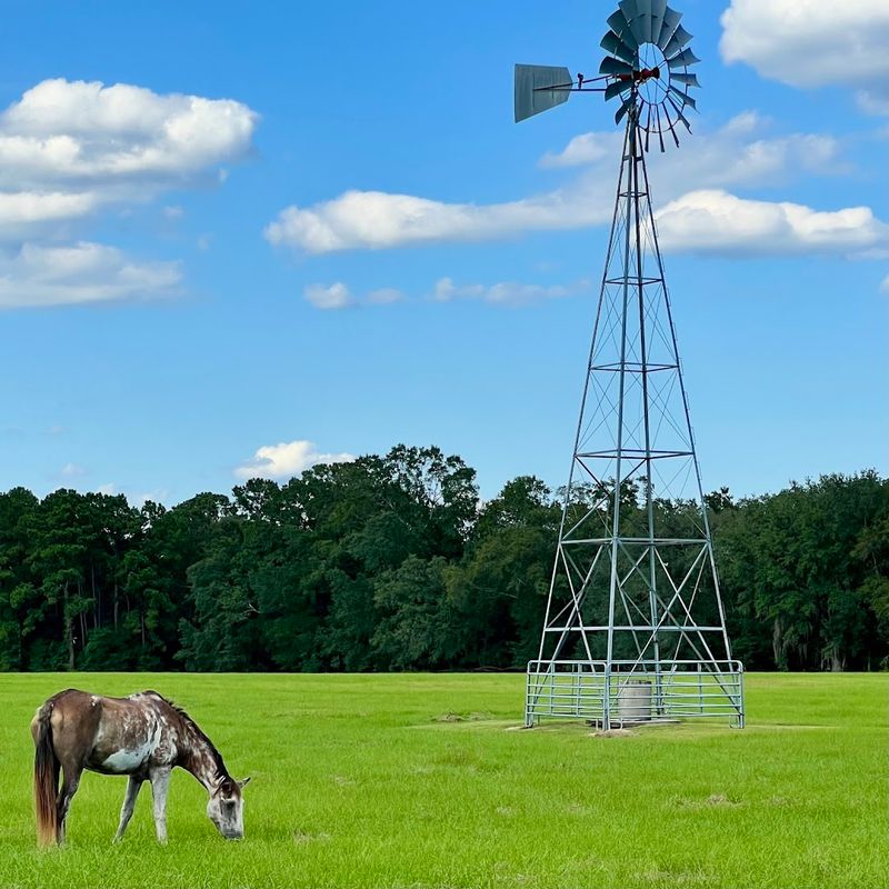 Day Trips and Tallahassee Access