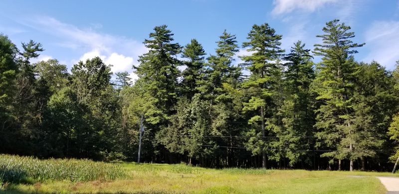 Tent-Only Campground Nights