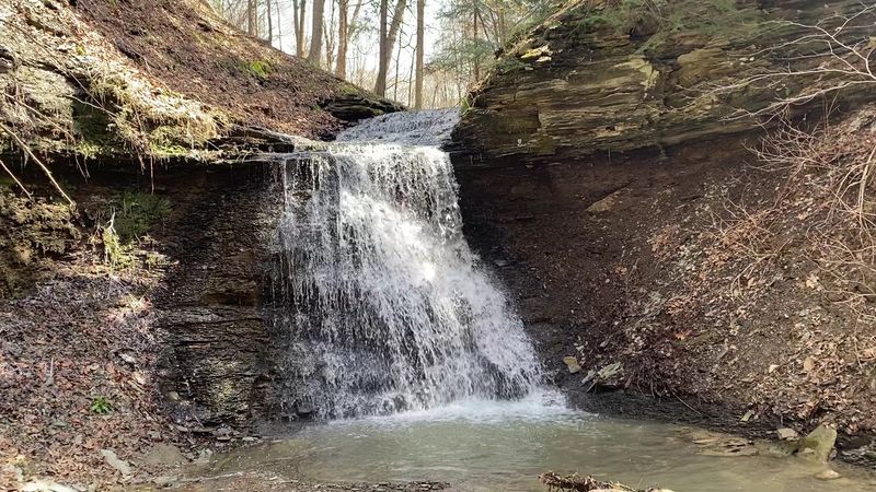 Sheepskin Hollow Falls (Columbiana County)