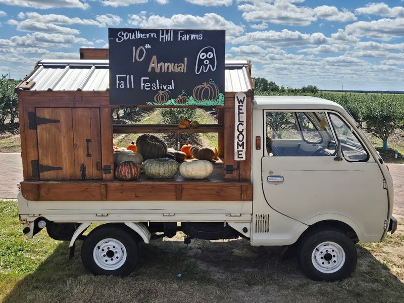 Live Music and Food Trucks: The Weekend Vibe at Southern Hill Farms