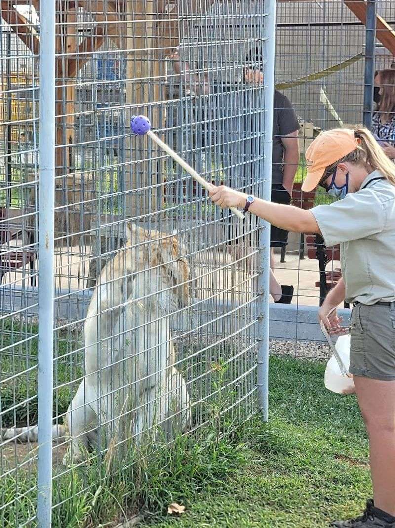 Animal Care That Goes Above and Beyond