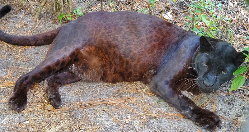 Why No Photos Makes It Better