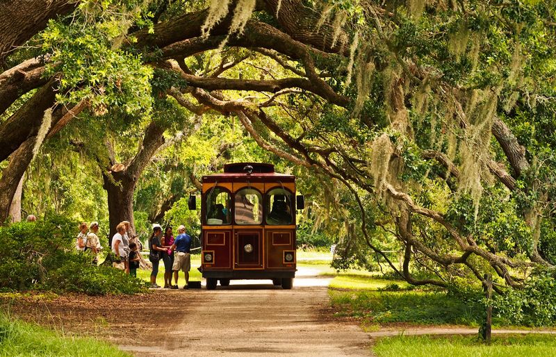 First Impressions That Feel Incredibly Far From The Lowcountry