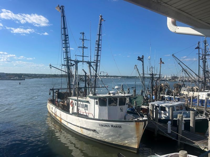 The Bayside Deck And Best Seats