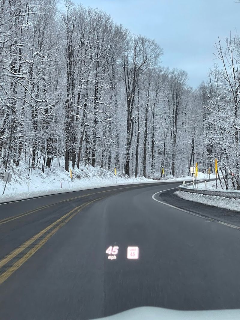 Forest Road Exploration and Scenic Drives